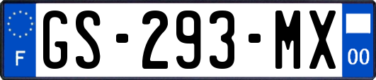 GS-293-MX