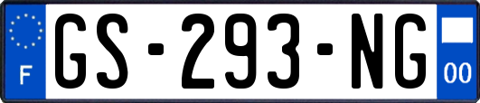 GS-293-NG