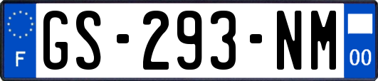 GS-293-NM