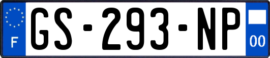 GS-293-NP