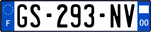 GS-293-NV
