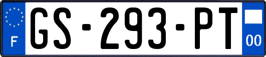 GS-293-PT