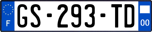 GS-293-TD