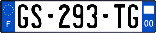GS-293-TG