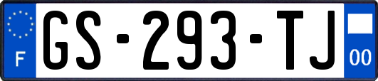 GS-293-TJ