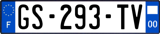 GS-293-TV
