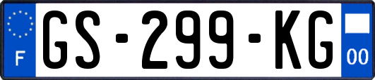 GS-299-KG
