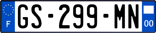 GS-299-MN