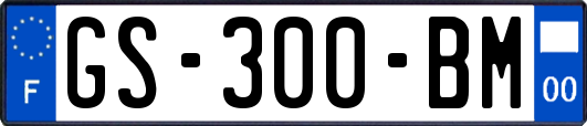 GS-300-BM