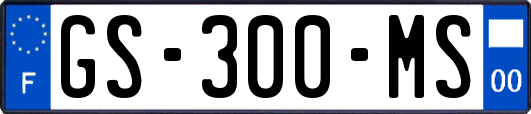 GS-300-MS