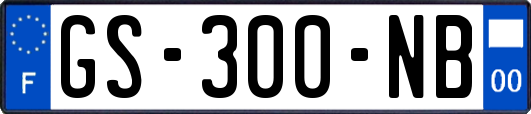 GS-300-NB