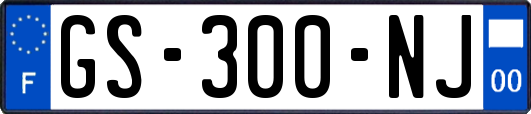 GS-300-NJ