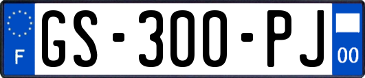 GS-300-PJ