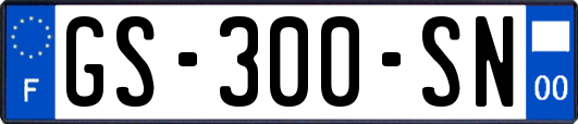 GS-300-SN