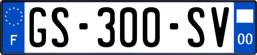 GS-300-SV