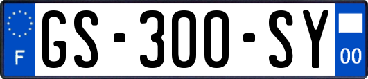 GS-300-SY