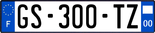 GS-300-TZ