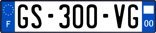 GS-300-VG