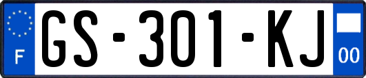 GS-301-KJ