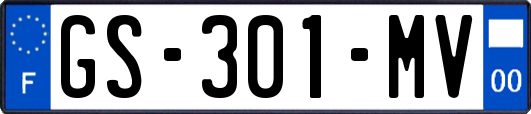 GS-301-MV