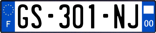 GS-301-NJ