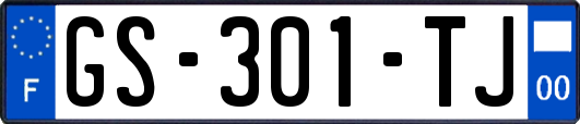 GS-301-TJ
