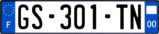 GS-301-TN