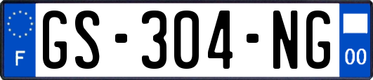 GS-304-NG