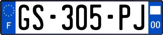 GS-305-PJ