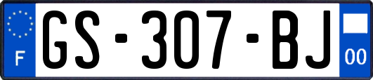 GS-307-BJ