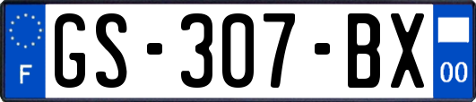 GS-307-BX