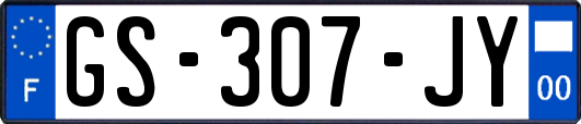 GS-307-JY