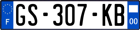 GS-307-KB