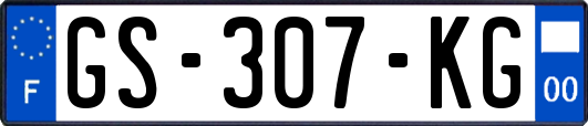 GS-307-KG