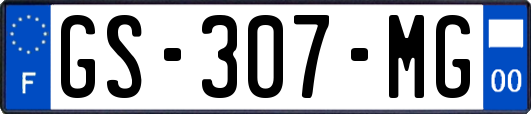 GS-307-MG