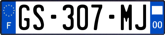 GS-307-MJ
