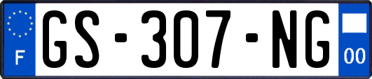 GS-307-NG