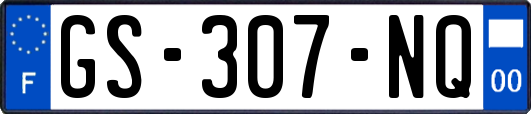 GS-307-NQ