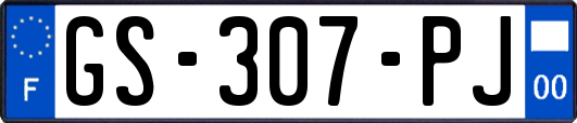 GS-307-PJ