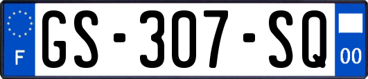 GS-307-SQ