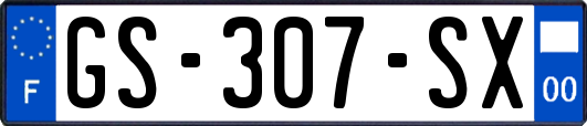 GS-307-SX