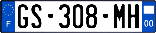 GS-308-MH