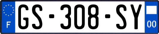 GS-308-SY