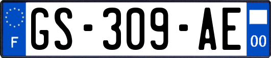 GS-309-AE