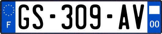 GS-309-AV