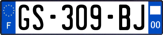 GS-309-BJ