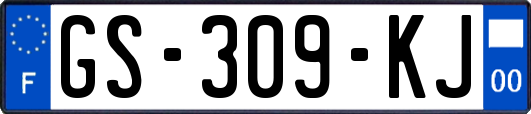 GS-309-KJ