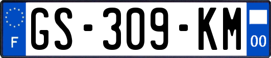 GS-309-KM