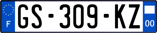 GS-309-KZ