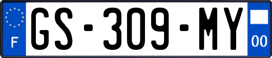 GS-309-MY